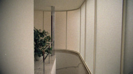 Ludwig Mies van der Rohe - Architecture as language 